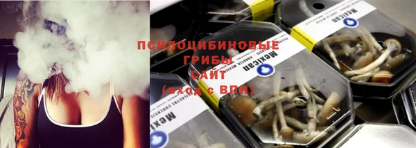 мет Кукмор