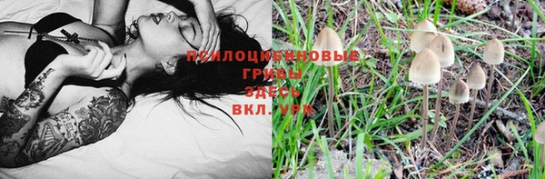 ГАЛЛЮЦИНОГЕННЫЕ ГРИБЫ Куйбышев