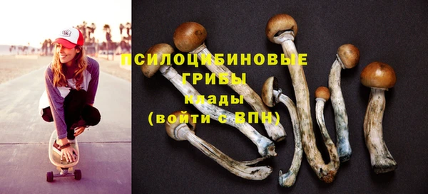 ГАЛЛЮЦИНОГЕННЫЕ ГРИБЫ Куйбышев