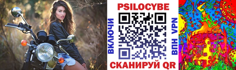 Галлюциногенные грибы Psilocybe  кракен зеркало  Суджа 
