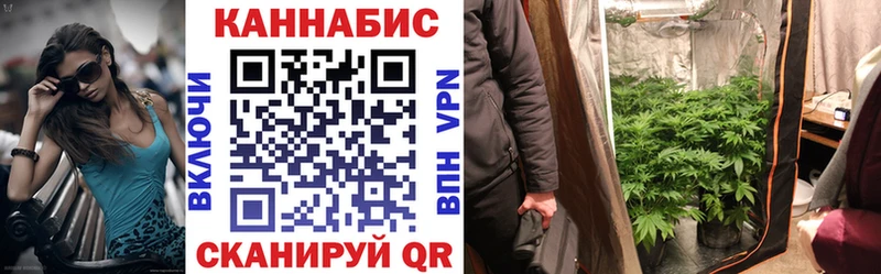 Бошки марихуана Bruce Banner Суджа